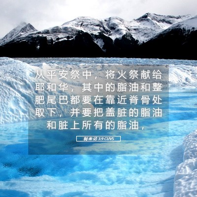 Picture 05 - 利 未 记 3:9 CUVS - 从 平 安 祭 中 ， 将 火 祭 献 给 耶 - Bible Verse Picture