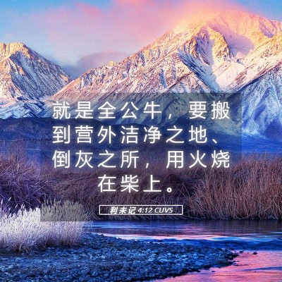 Picture 05 - 利 未 记 4:12 CUVS - 就 是 全 公 牛 ， 要 搬 到 营 外 洁 - Bible Verse Picture