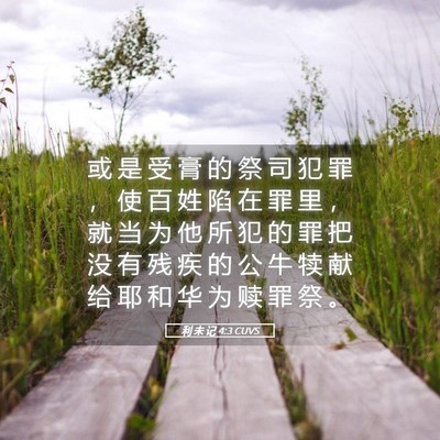 Picture 05 - 利 未 记 4:3 CUVS - 或 是 受 膏 的 祭 司 犯 罪 ， 使 百 - Bible Verse Picture