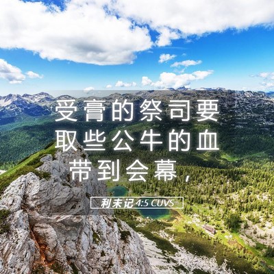 Picture 05 - 利 未 记 4:5 CUVS - 受 膏 的 祭 司 要 取 些 公 牛 的 血 - Bible Verse Picture