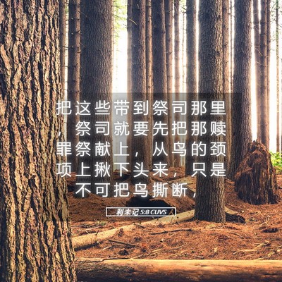 Picture 05 - 利 未 记 5:8 CUVS - 把 这 些 带 到 祭 司 那 里 ， 祭 司 - Bible Verse Picture