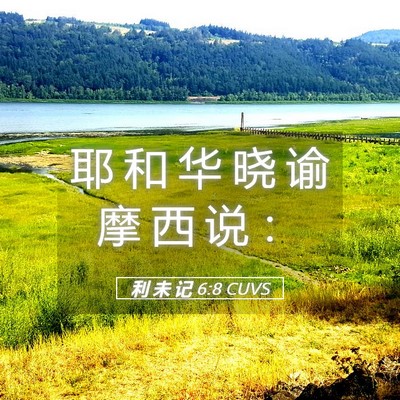 Picture 05 - 利 未 记 6:8 CUVS - 耶 和 华 晓 谕 摩 西 说 - Bible Verse Picture