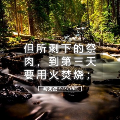 Picture 05 - 利 未 记 7:17 CUVS - 但 所 剩 下 的 祭 肉 ， 到 第 三 天 - Bible Verse Picture