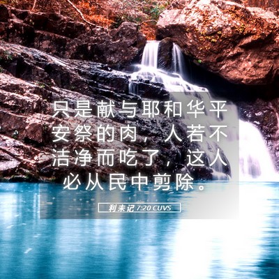 Picture 05 - 利 未 记 7:20 CUVS - 只 是 献 与 耶 和 华 平 安 祭 的 肉 - Bible Verse Picture