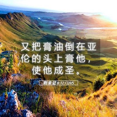 Picture 05 - 利 未 记 8:12 CUVS - 又 把 膏 油 倒 在 亚 伦 的 头 上 膏 - Bible Verse Picture