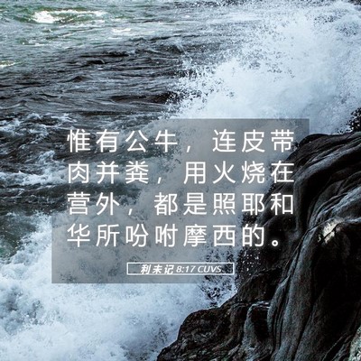 Picture 05 - 利 未 记 8:17 CUVS - 惟 有 公 牛 ， 连 皮 带 肉 并 粪 ， - Bible Verse Picture