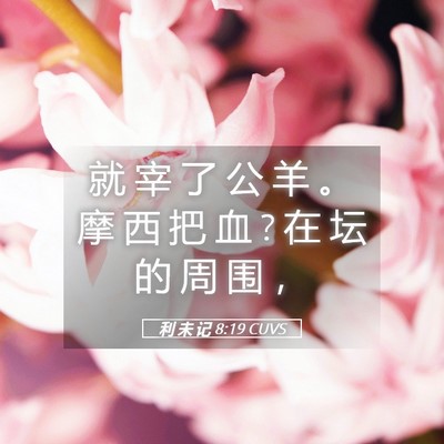 Picture 05 - 利 未 记 8:19 CUVS - 就 宰 了 公 羊 。 摩 西 把 血 ? 在 坛 - Bible Verse Picture