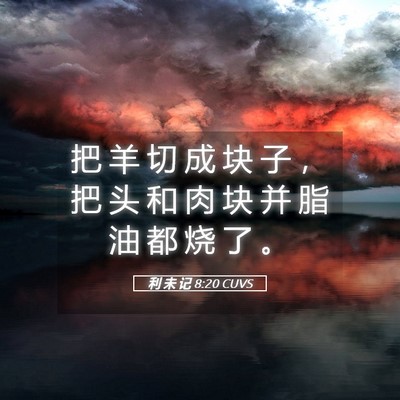Picture 05 - 利 未 记 8:20 CUVS - 把 羊 切 成 块 子 ， 把 头 和 肉 块 - Bible Verse Picture