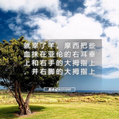 Picture 05 - 利 未 记 8:23 CUVS - 就 宰 了 羊 。 摩 西 把 些 血 抹 在 - Bible Verse Picture