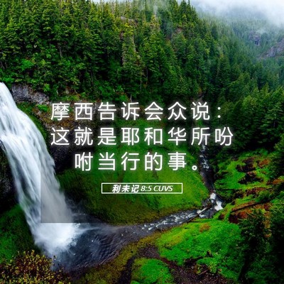 Picture 05 - 利 未 记 8:5 CUVS - 摩 西 告 诉 会 众 说 ： 这 就 是 耶 - Bible Verse Picture