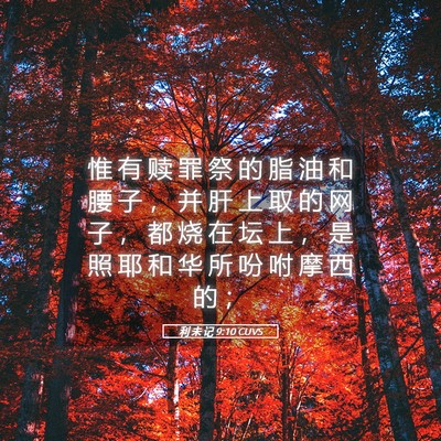 Picture 05 - 利 未 记 9:10 CUVS - 惟 有 赎 罪 祭 的 脂 油 和 腰 子 ， - Bible Verse Picture