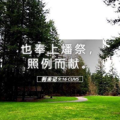 Picture 05 - 利 未 记 9:16 CUVS - 也 奉 上 燔 祭 ， 照 例 而 献 - Bible Verse Picture