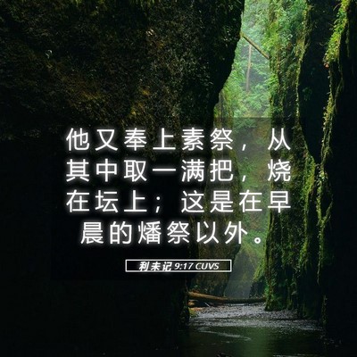 Picture 05 - 利 未 记 9:17 CUVS - 他 又 奉 上 素 祭 ， 从 其 中 取 一 - Bible Verse Picture