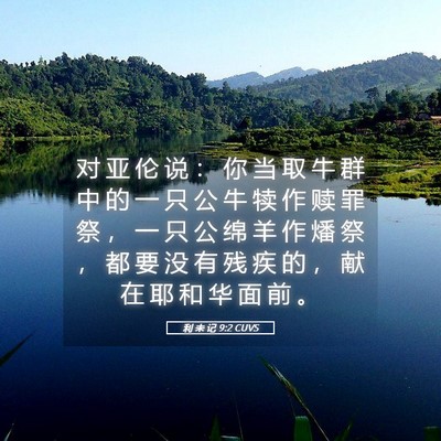 Picture 05 - 利 未 记 9:2 CUVS - 对 亚 伦 说 ： 你 当 取 牛 群 中 的 - Bible Verse Picture