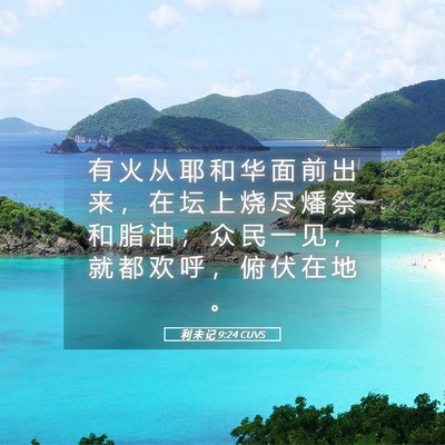 Picture 05 - 利 未 记 9:24 CUVS - 有 火 从 耶 和 华 面 前 出 来 ， 在 - Bible Verse Picture