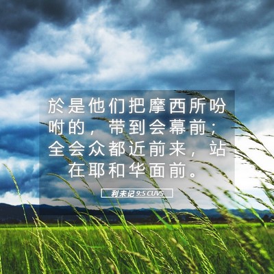 Picture 05 - 利 未 记 9:5 CUVS - 於 是 他 们 把 摩 西 所 吩 咐 的 ， - Bible Verse Picture