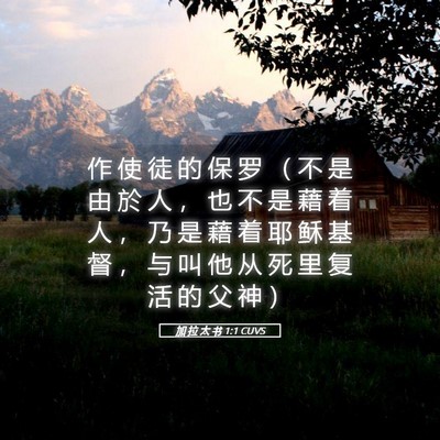 Picture 05 - 加 拉 太 书 1:1 CUVS - 作 使 徒 的 保 罗 （ 不 是 由 於 人 - Bible Verse Picture