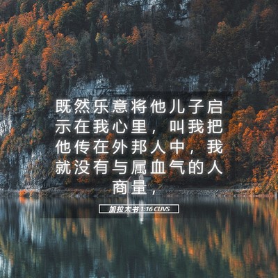 Picture 05 - 加 拉 太 书 1:16 CUVS - 既 然 乐 意 将 他 儿 子 启 示 在 我 - Bible Verse Picture