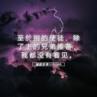 Picture 05 - 加 拉 太 书 1:19 CUVS - 至 於 别 的 使 徒 ， 除 了 主 的 兄 - Bible Verse Picture
