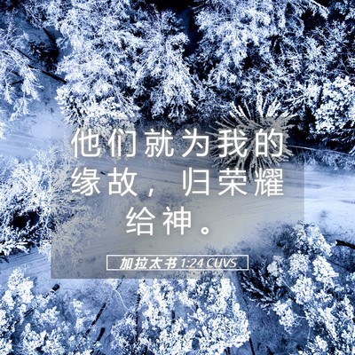 Picture 05 - 加 拉 太 书 1:24 CUVS - 他 们 就 为 我 的 缘 故 ， 归 荣 耀 - Bible Verse Picture