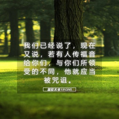 Picture 05 - 加 拉 太 书 1:9 CUVS - 我 们 已 经 说 了 ， 现 在 又 说 ， - Bible Verse Picture