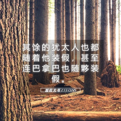 Picture 05 - 加 拉 太 书 2:13 CUVS - 其 馀 的 犹 太 人 也 都 随 着 他 装 - Bible Verse Picture