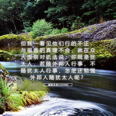 Picture 05 - 加 拉 太 书 2:14 CUVS - 但 我 一 看 见 他 们 行 的 不 正 ， - Bible Verse Picture