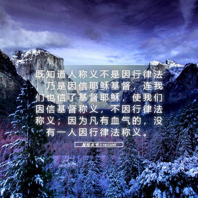 Picture 05 - 加 拉 太 书 2:16 CUVS - 既 知 道 人 称 义 不 是 因 行 律 法 - Bible Verse Picture