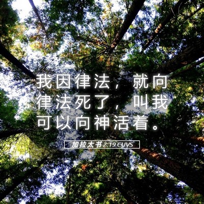 Picture 05 - 加 拉 太 书 2:19 CUVS - 我 因 律 法 ， 就 向 律 法 死 了 ， - Bible Verse Picture