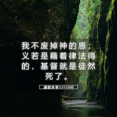 Picture 05 - 加 拉 太 书 2:21 CUVS - 我 不 废 掉 神 的 恩 ； 义 若 是 藉 - Bible Verse Picture