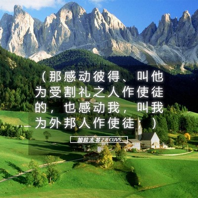 Picture 05 - 加 拉 太 书 2:8 CUVS - （ 那 感 动 彼 得 、 叫 他 为 受 割 - Bible Verse Picture