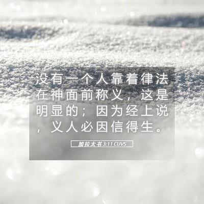 Picture 05 - 加 拉 太 书 3:11 CUVS - 没 有 一 个 人 靠 着 律 法 在 神 面 - Bible Verse Picture