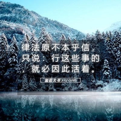 Picture 05 - 加 拉 太 书 3:12 CUVS - 律 法 原 不 本 乎 信 ， 只 说 ： 行 - Bible Verse Picture
