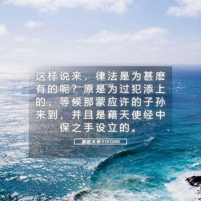 Picture 05 - 加 拉 太 书 3:19 CUVS - 这 样 说 来 ， 律 法 是 为 甚 麽 有 - Bible Verse Picture