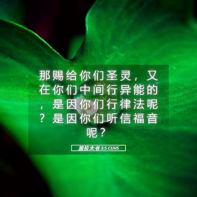 Picture 05 - 加 拉 太 书 3:5 CUVS - 那 赐 给 你 们 圣 灵 ， 又 在 你 们 - Bible Verse Picture