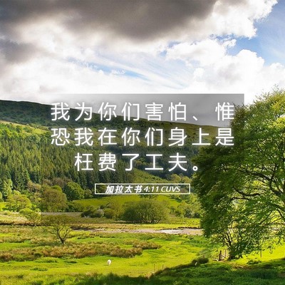 Picture 05 - 加 拉 太 书 4:11 CUVS - 我 为 你 们 害 怕 、 惟 恐 我 在 你 - Bible Verse Picture