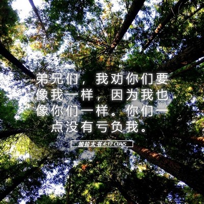 Picture 05 - 加 拉 太 书 4:12 CUVS - 弟 兄 们 ， 我 劝 你 们 要 像 我 一 - Bible Verse Picture