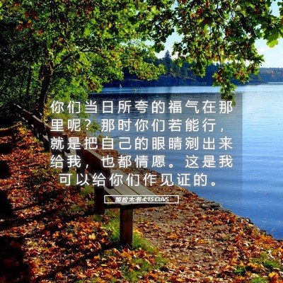 Picture 05 - 加 拉 太 书 4:15 CUVS - 你 们 当 日 所 夸 的 福 气 在 那 里 - Bible Verse Picture