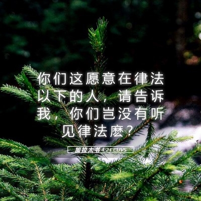 Picture 05 - 加 拉 太 书 4:21 CUVS - 你 们 这 愿 意 在 律 法 以 下 的 人 - Bible Verse Picture