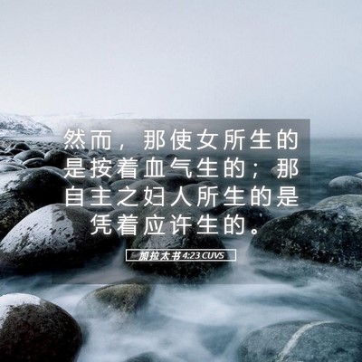 Picture 05 - 加 拉 太 书 4:23 CUVS - 然 而 ， 那 使 女 所 生 的 是 按 着 - Bible Verse Picture