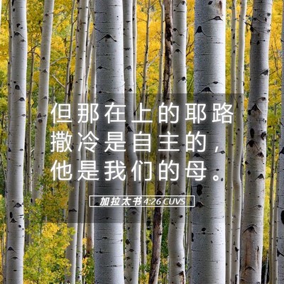 Picture 05 - 加 拉 太 书 4:26 CUVS - 但 那 在 上 的 耶 路 撒 冷 是 自 主 - Bible Verse Picture