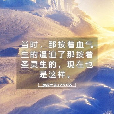 Picture 05 - 加 拉 太 书 4:29 CUVS - 当 时 ， 那 按 着 血 气 生 的 逼 迫 - Bible Verse Picture