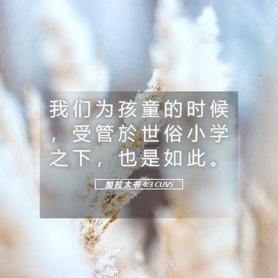 Picture 05 - 加 拉 太 书 4:3 CUVS - 我 们 为 孩 童 的 时 候 ， 受 管 於 - Bible Verse Picture