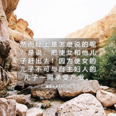 Picture 05 - 加 拉 太 书 4:30 CUVS - 然 而 经 上 是 怎 麽 说 的 呢 ？ 是 - Bible Verse Picture