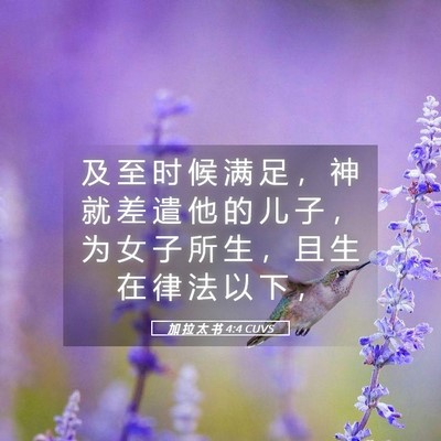 Picture 05 - 加 拉 太 书 4:4 CUVS - 及 至 时 候 满 足 ， 神 就 差 遣 他 - Bible Verse Picture