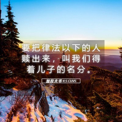 Picture 05 - 加 拉 太 书 4:5 CUVS - 要 把 律 法 以 下 的 人 赎 出 来 ， - Bible Verse Picture