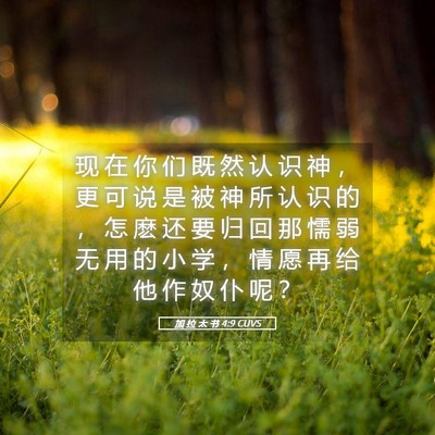 Picture 05 - 加 拉 太 书 4:9 CUVS - 现 在 你 们 既 然 认 识 神 ， 更 可 - Bible Verse Picture