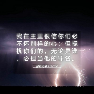 Picture 05 - 加 拉 太 书 5:10 CUVS - 我 在 主 里 很 信 你 们 必 不 怀 别 - Bible Verse Picture