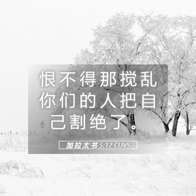 Picture 05 - 加 拉 太 书 5:12 CUVS - 恨 不 得 那 搅 乱 你 们 的 人 把 自 - Bible Verse Picture
