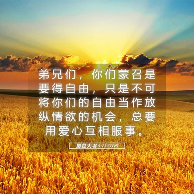 Picture 05 - 加 拉 太 书 5:13 CUVS - 弟 兄 们 ， 你 们 蒙 召 是 要 得 自 - Bible Verse Picture
